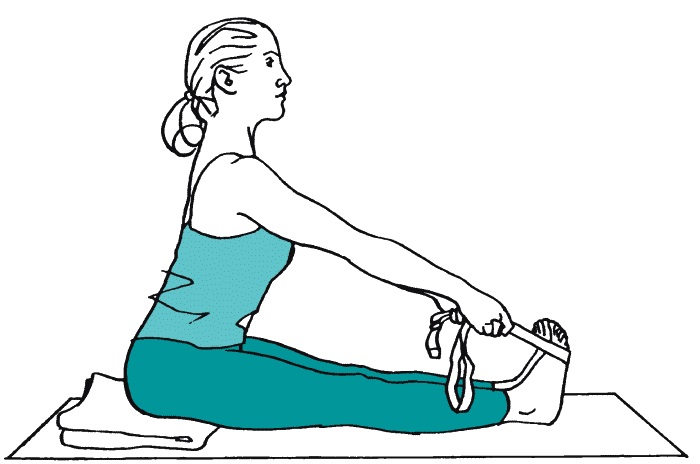 Файл:Ремешок дандасана.jpg