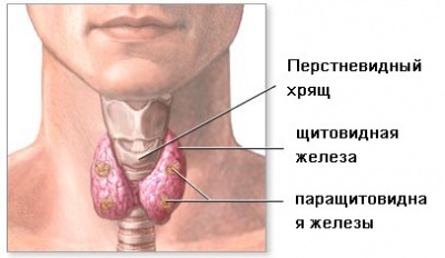Болезни щитовидной железы 1.jpg