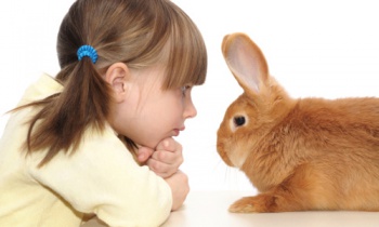 Фото к статье Взаимоотношения детей и домашних животных 5.jpg