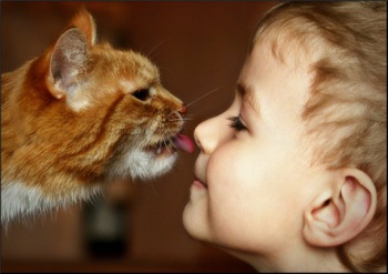 Фото к статье Взаимоотношения детей и домашних животных 4.jpg