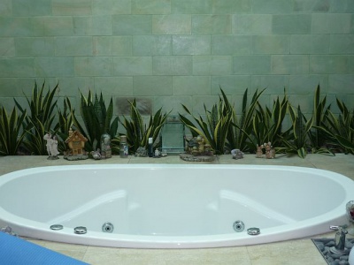 Растения в ванной 1.jpg