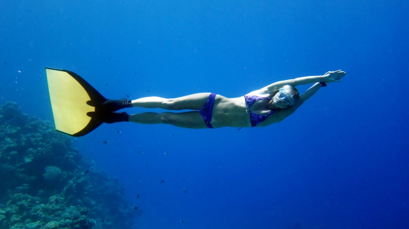 Файл:IMG 0654.jpg