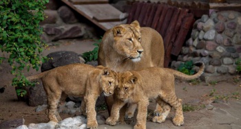 Фото к статье Зоопарк 2.jpg