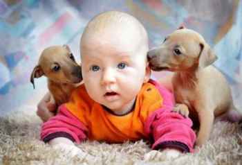 Фото к статье Взаимоотношения детей и домашних животных 3.jpg