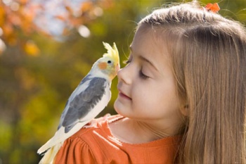 Фото к статье Взаимоотношения детей и домашних животных 6.jpg