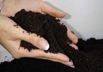 Фото к статье Подготовка почвы для рассады 2.jpg
