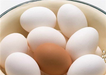 Eggs10.jpg